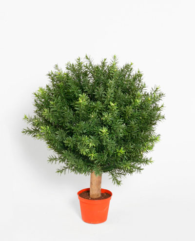 1173-040 Taxus 40x40cm, 1173-060 Taxus  60x60cm, 1173-080 Taxus Ball 80cm